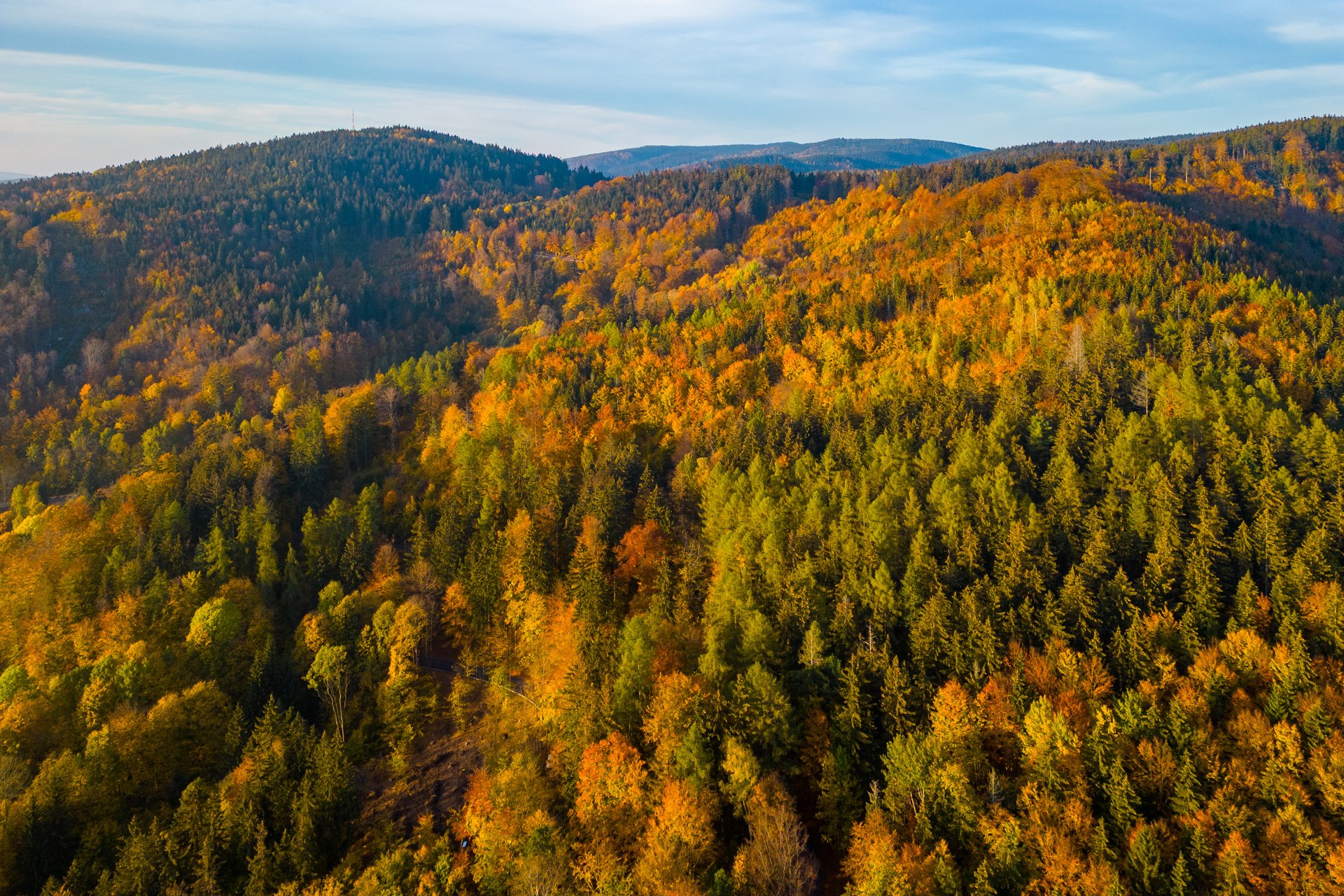 Colourful Autumn Forest of Jizera Mountains from above